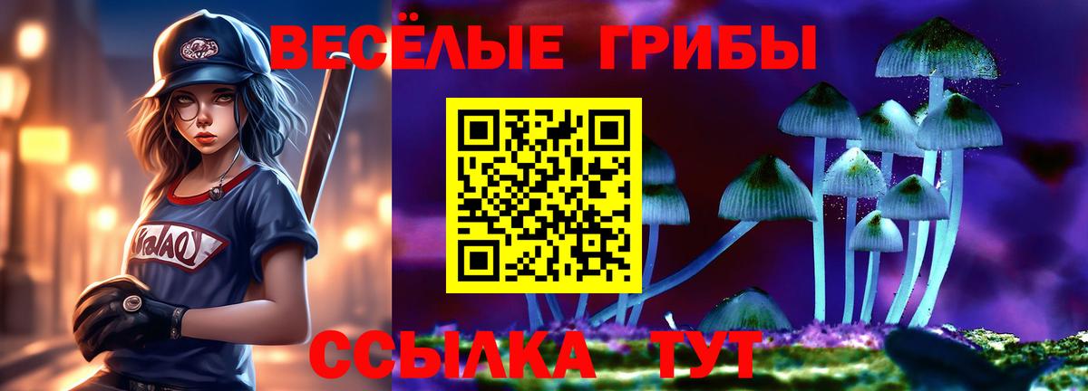 Псилоцибиновые грибы Cubensis  Вход с VPN  что такое наркотик  Сатка 